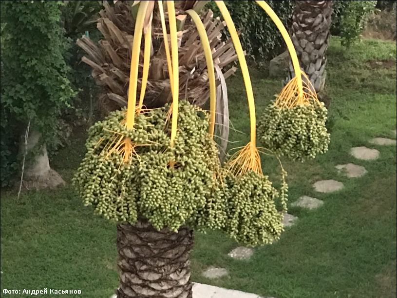 Туры из Екатеринбурга в Турцию