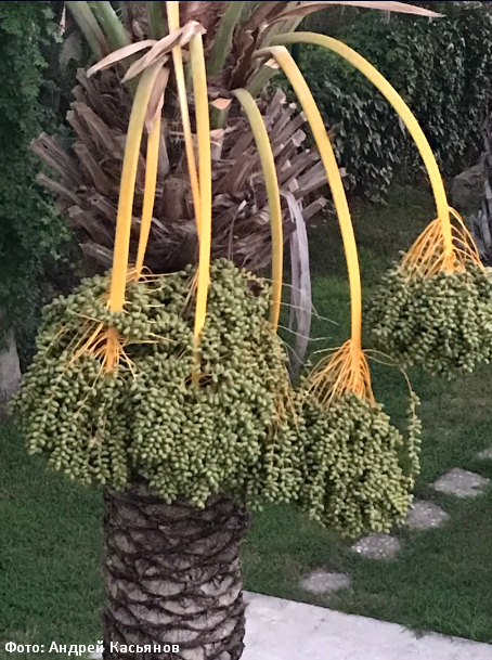 Пляжный отдых в феврале. Доступная экзотика