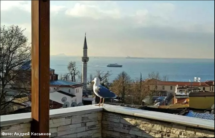 Стамбул: Мост между востоком и западом