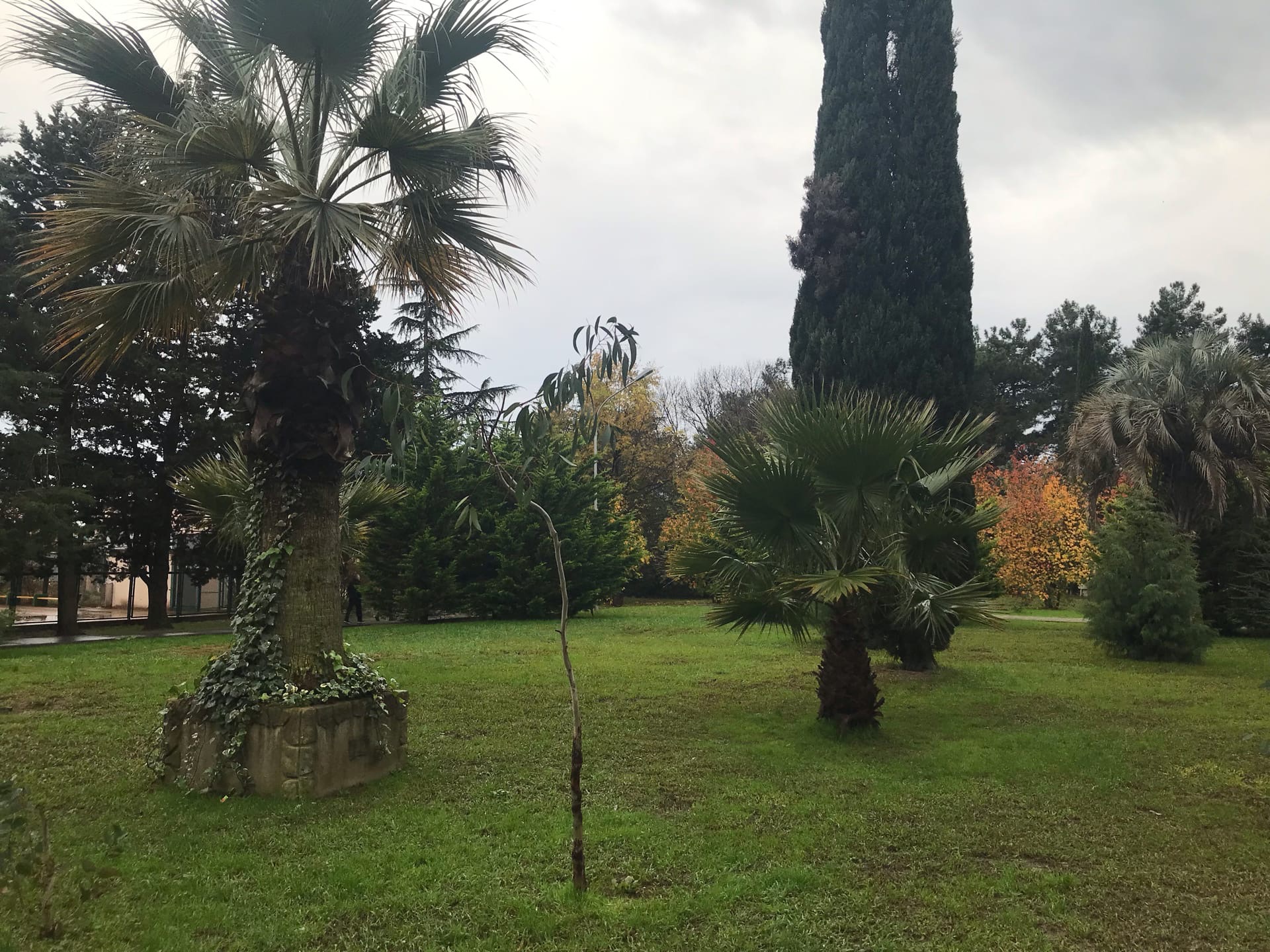 Раннее бронирование туров в Сочи из Екатеринбурга: Планируйте свой отпуск заранее и наслаждайтесь выгодными предложениями