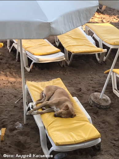 Раннее бронирование из Екатеринбурга в Белек: приятные цены от бюро путешествий КОНТИНЕНТ