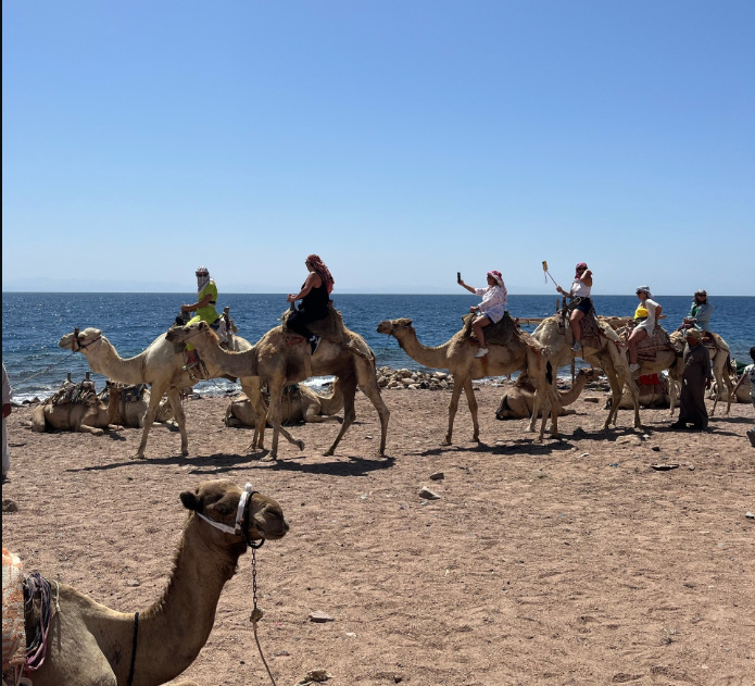 Египет. Правила въезда для граждан РФ в 2025 году