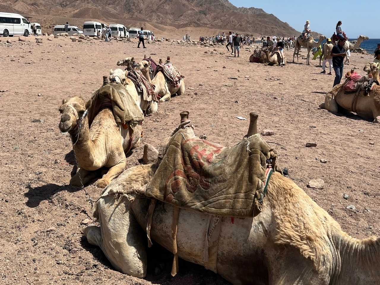 ИЗМЕНЕНИЕ СТОИМОСТИ ВИЗЫ В ЕГИПЕТ