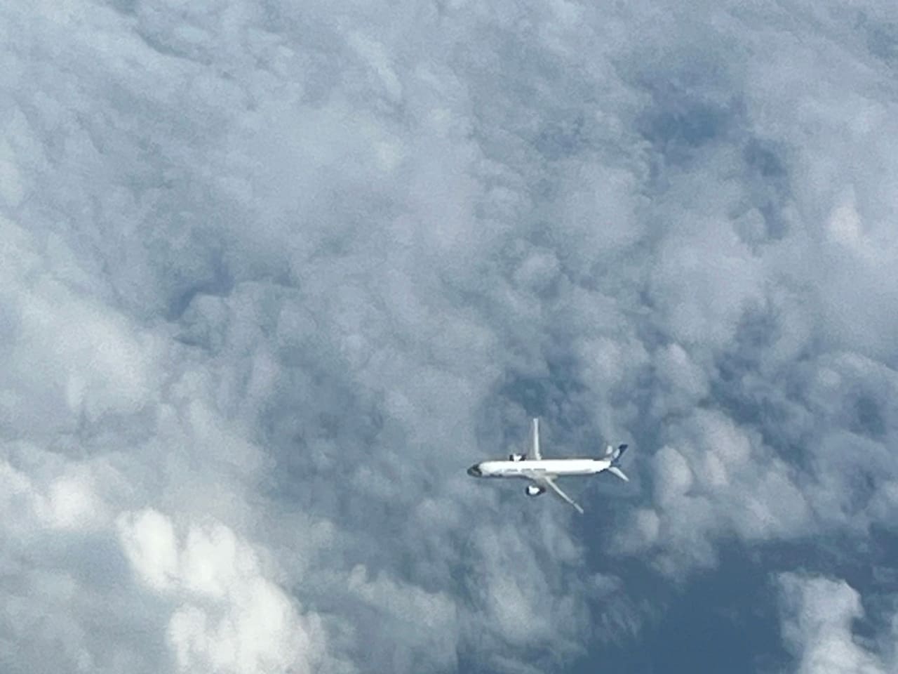 Отличие чартерного рейса от регулярного